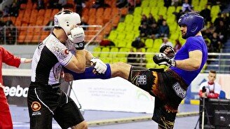 Супертурнир по панкратиону «Assenov Fight 134»